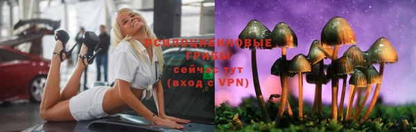 хмурый Аркадак