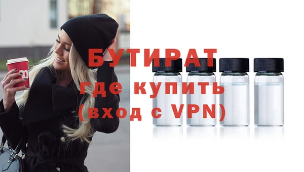хмурый Аркадак