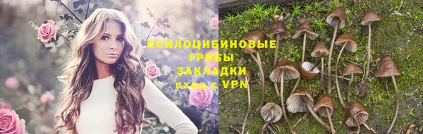 ECSTASY Арсеньев