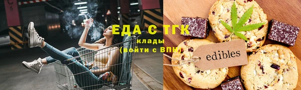 хмурый Аркадак