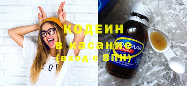 хмурый Аркадак