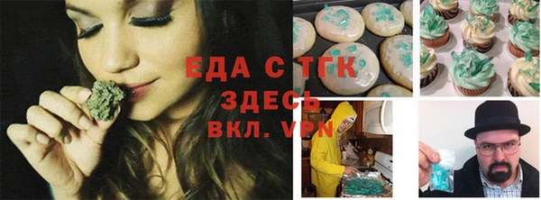 хмурый Аркадак